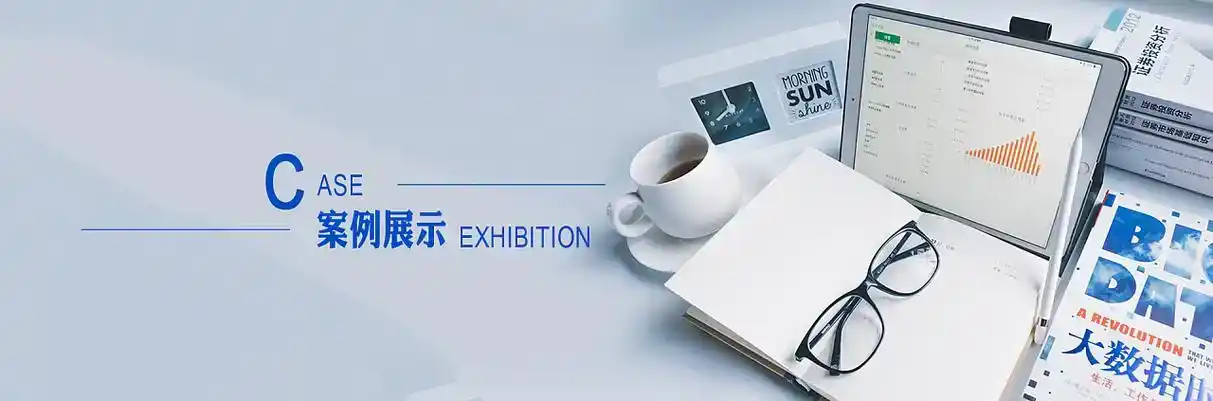 修武县软件开发